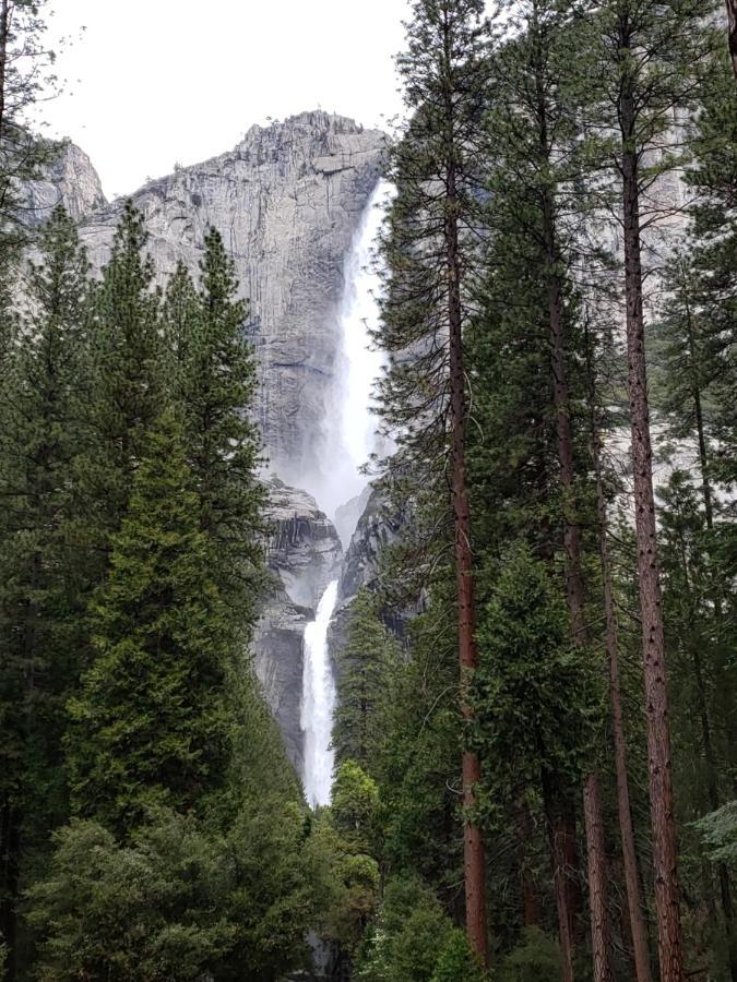 Yosemite Foothill Retreat - Private Guest Suite #2 Coarsegold Eksteriør billede